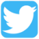 Twitter's Logo'